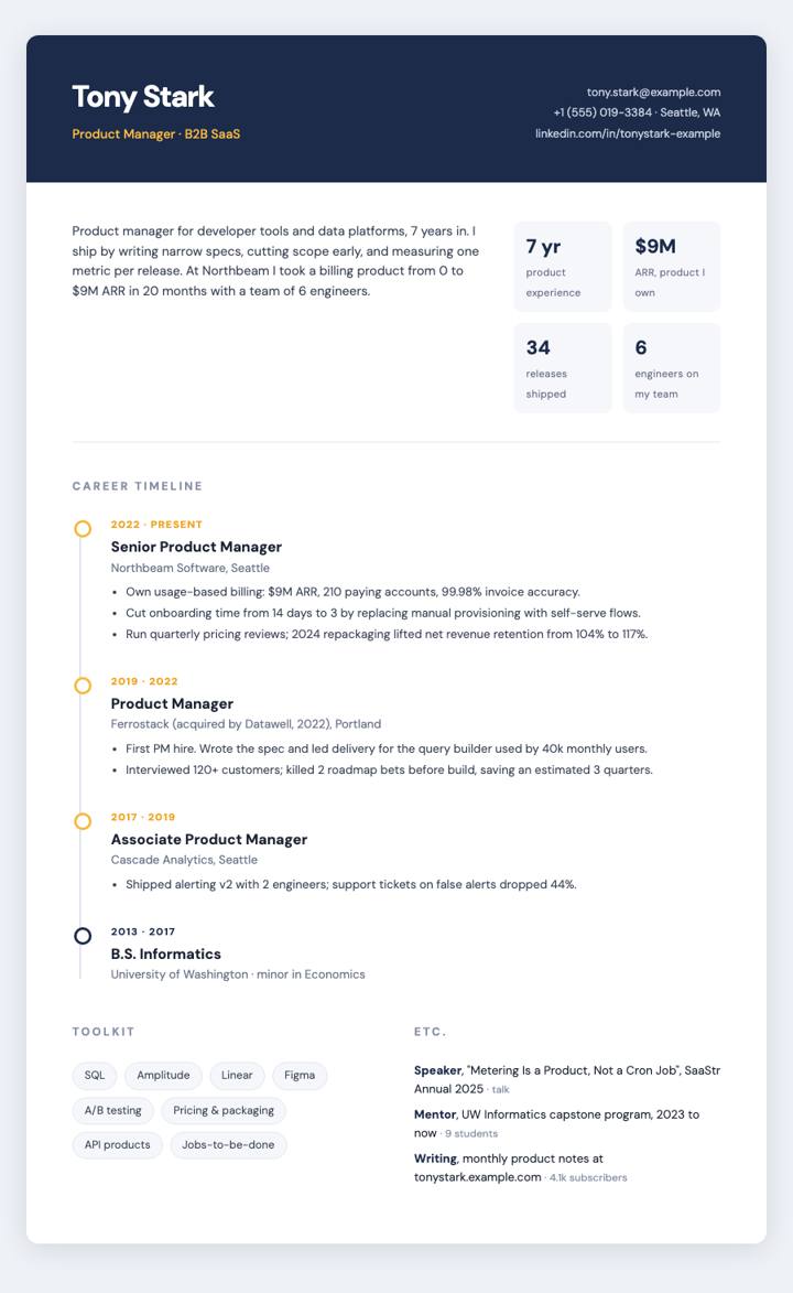 Timeline CV template preview