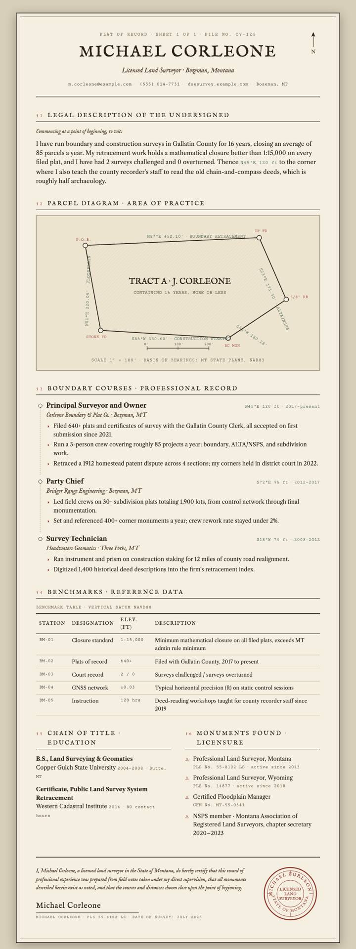 Plat Survey CV template preview
