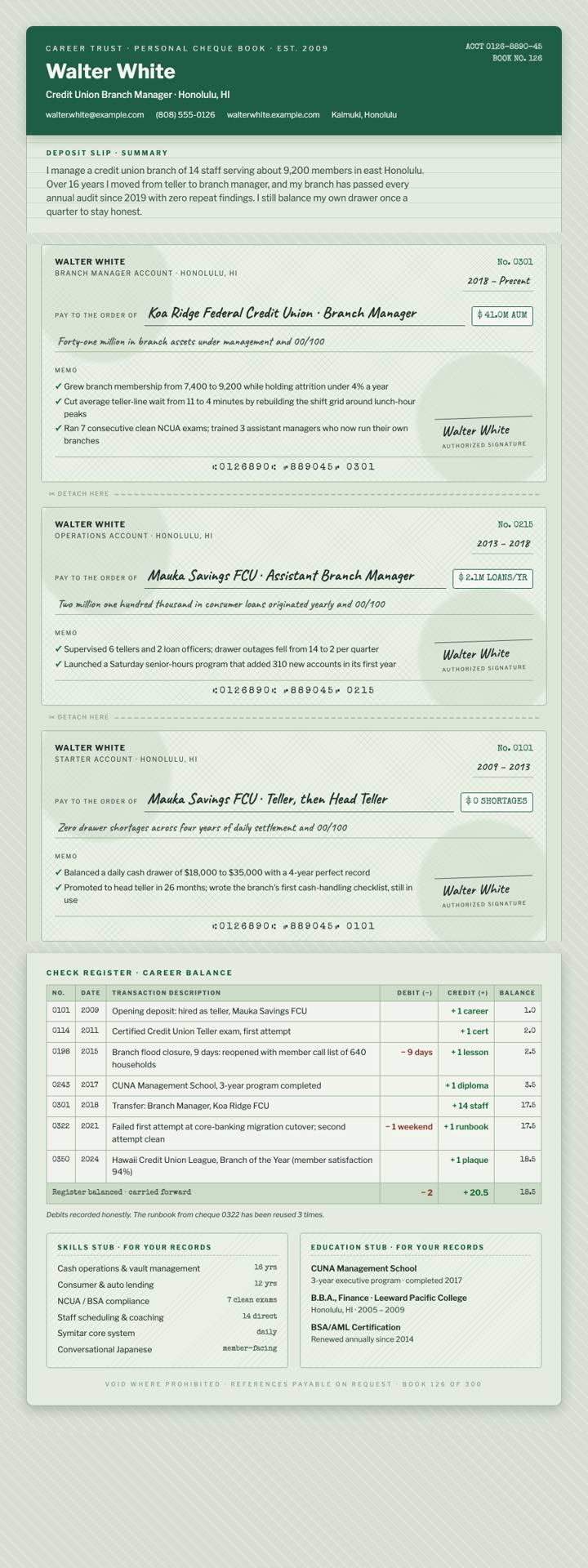 Cheque Register CV template preview
