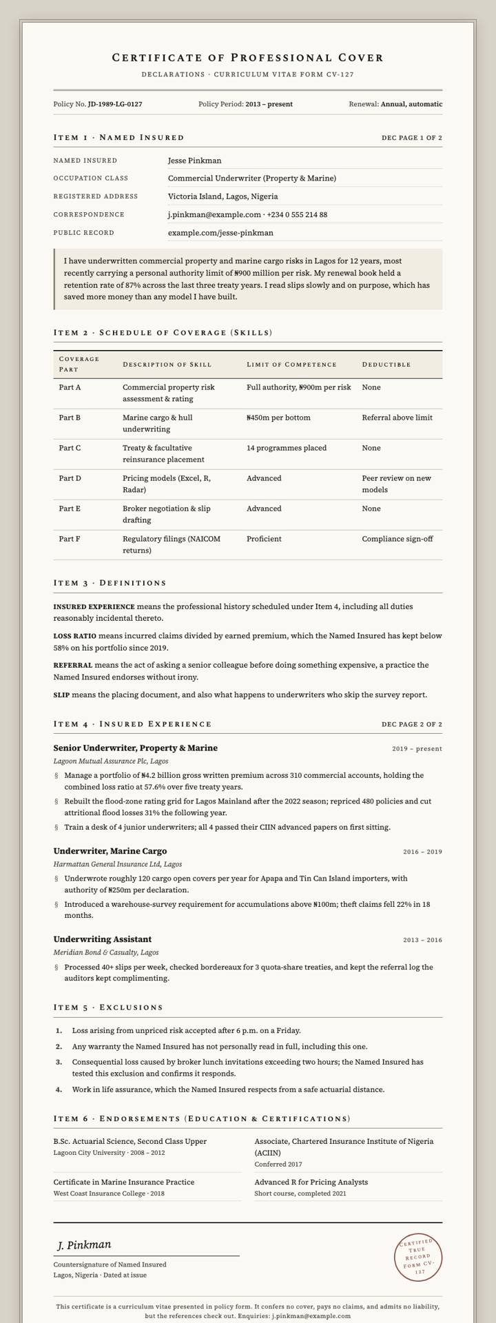 Insurance Policy CV template preview