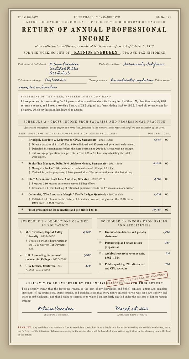 Tax Return 1913 CV template preview
