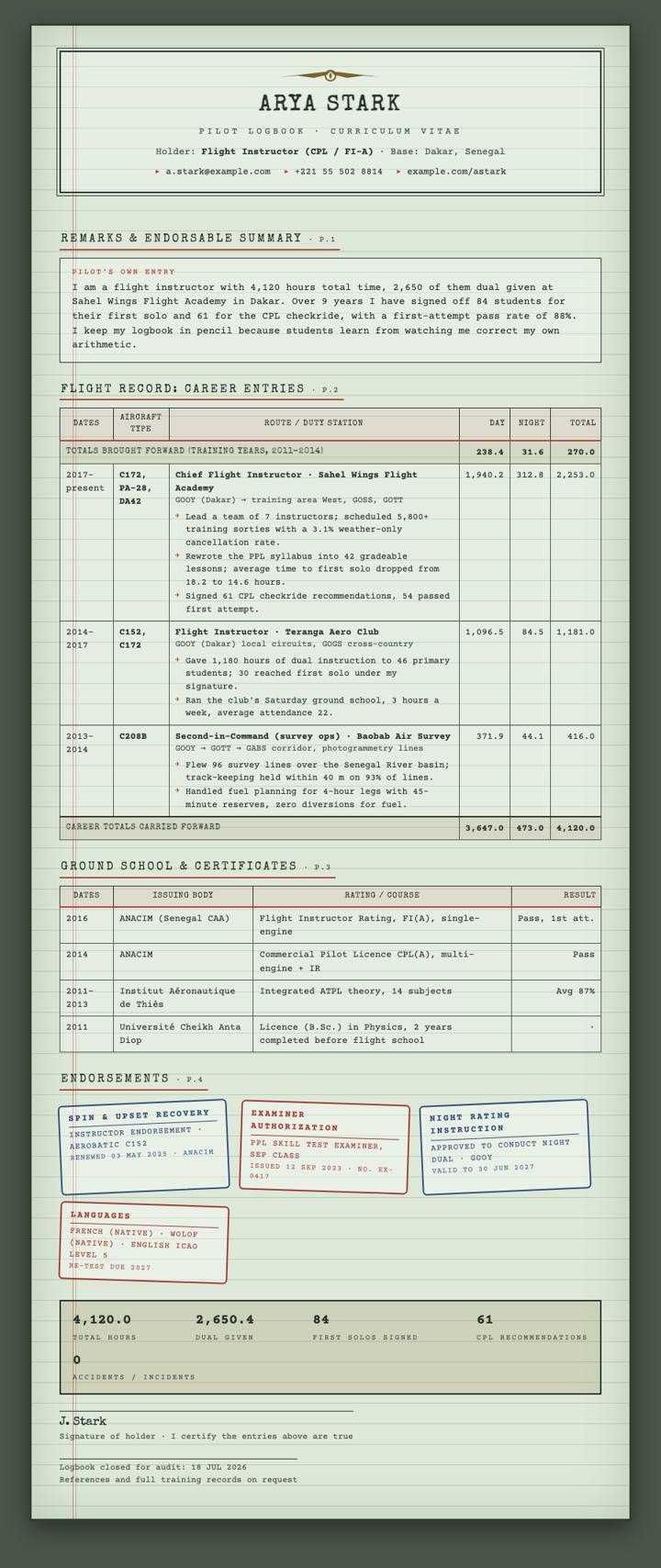 Aviation Logbook CV template preview
