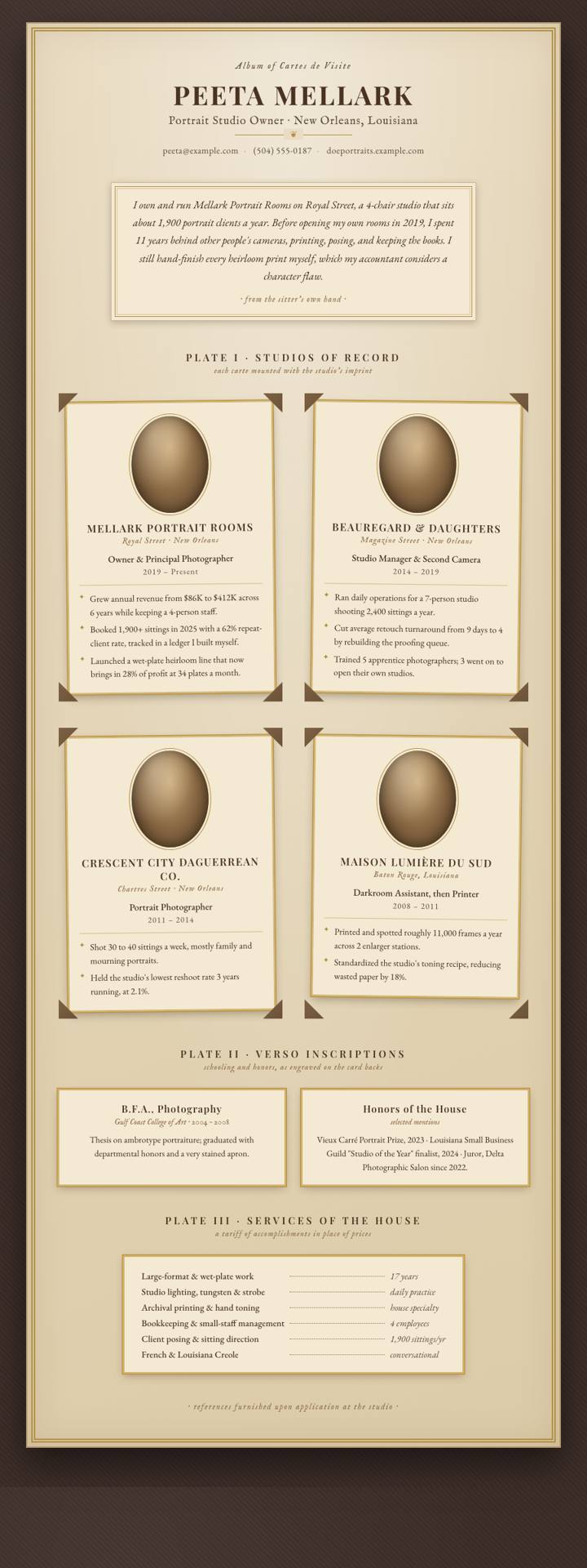 Carte De Visite CV template preview