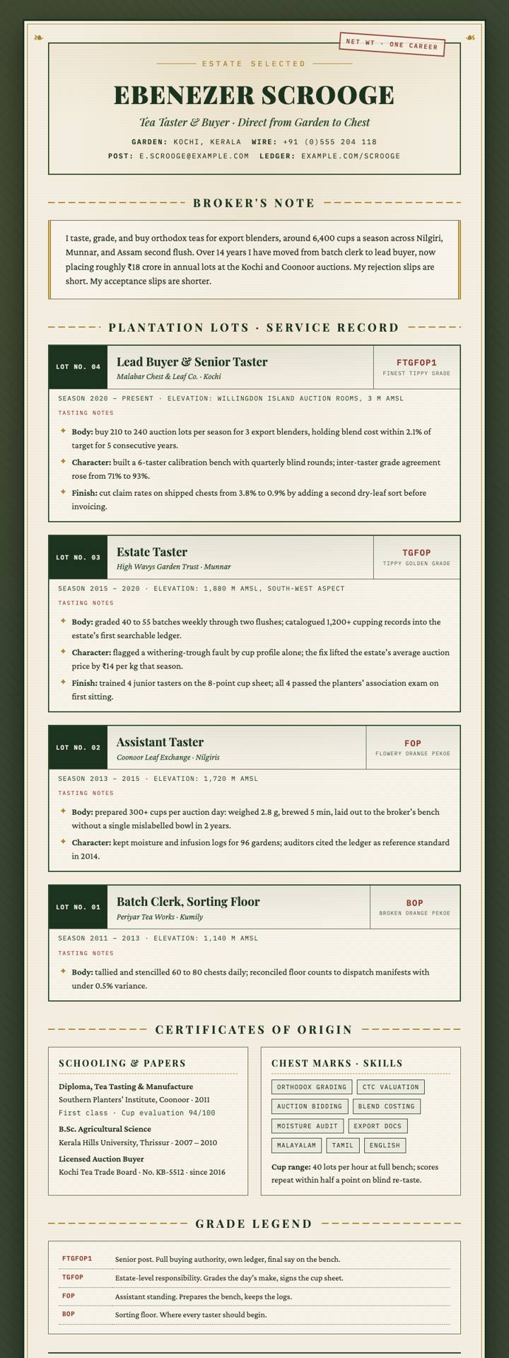 Tea Label CV template preview