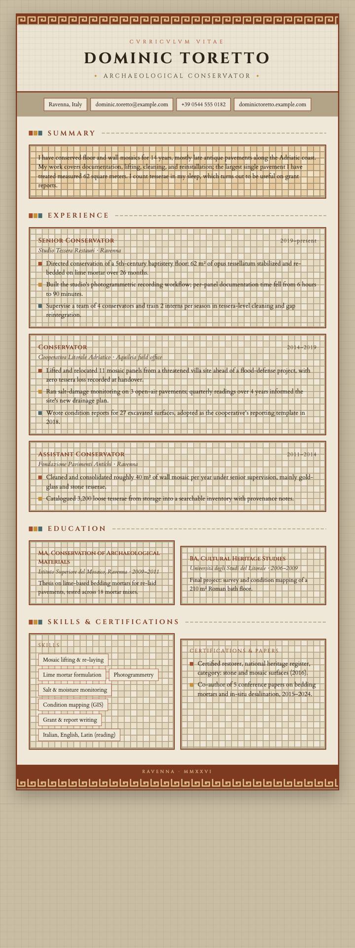 Roman Mosaic CV template preview