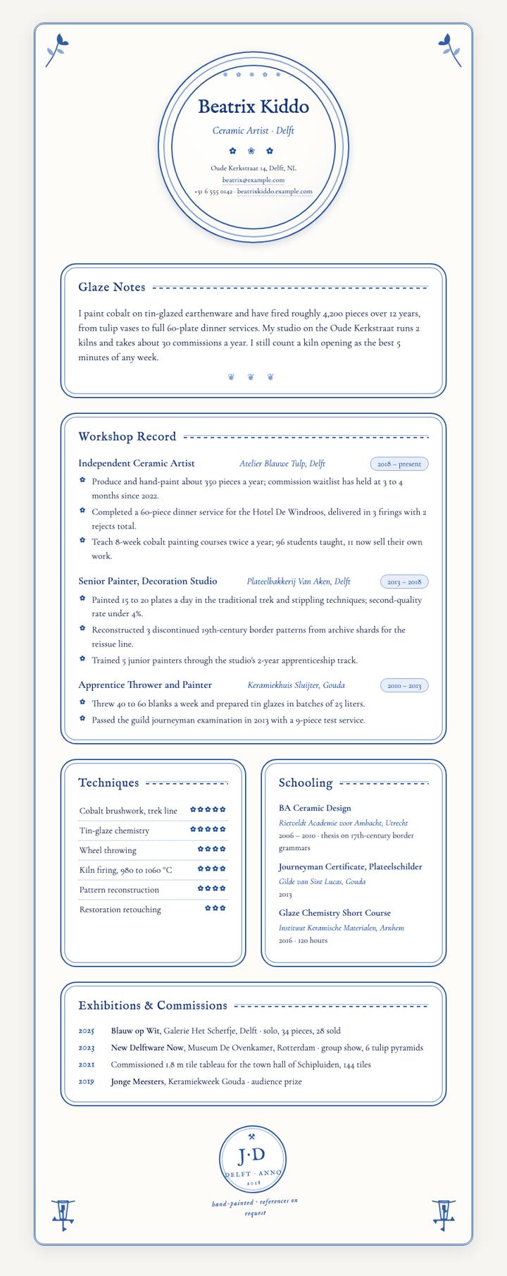 Delft Porcelain CV template preview