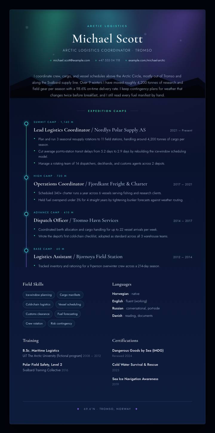Aurora Arctic CV template preview