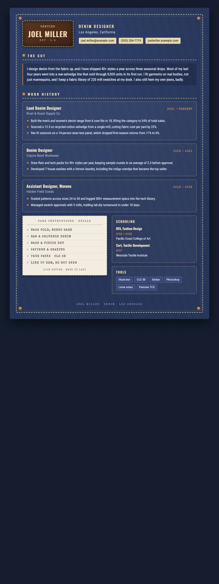 Denim Label CV template preview