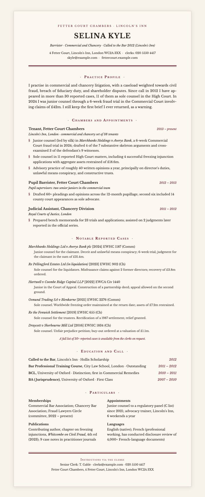 Barrister Chambers CV template preview