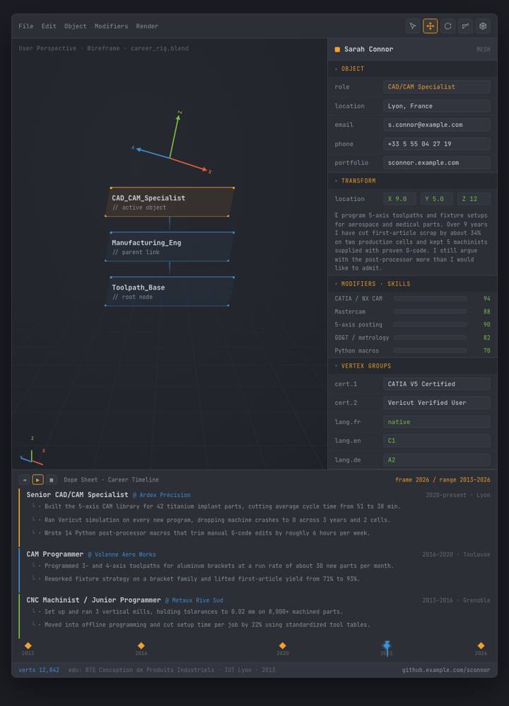 3D Viewport CV template preview