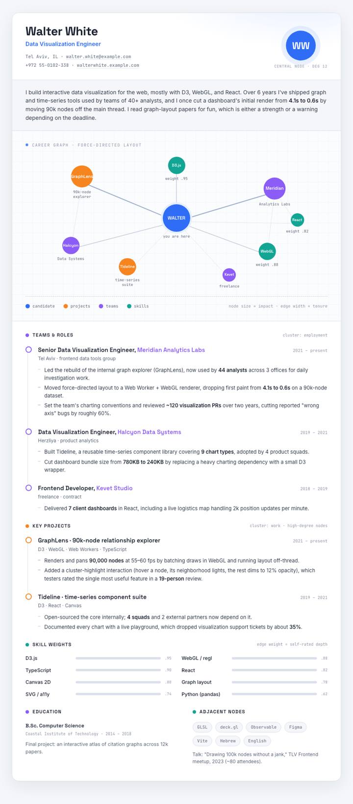 Network Graph CV template preview