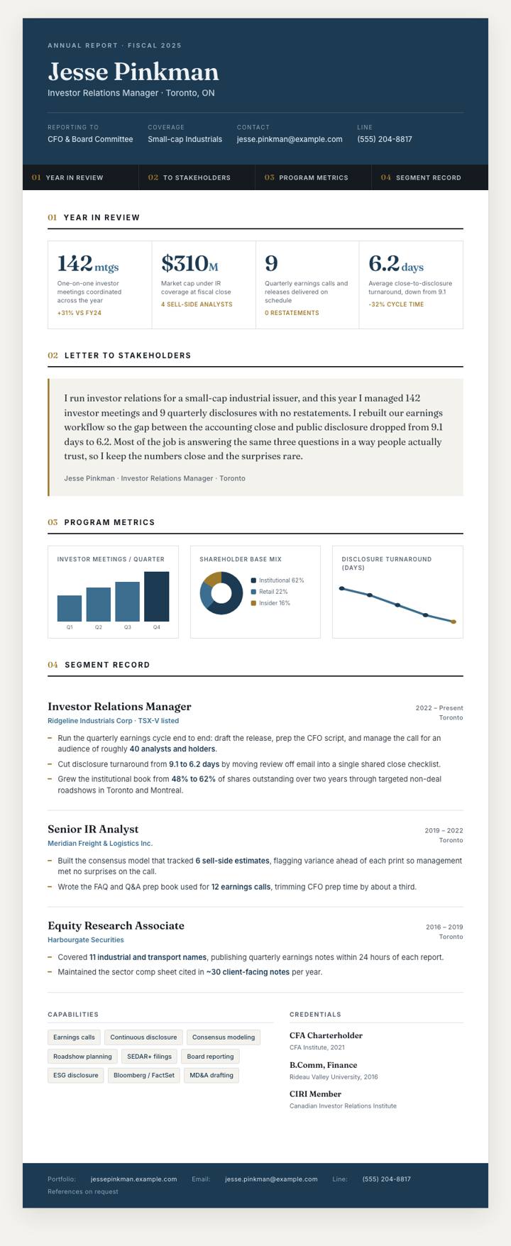 Annual Report Modern CV template preview