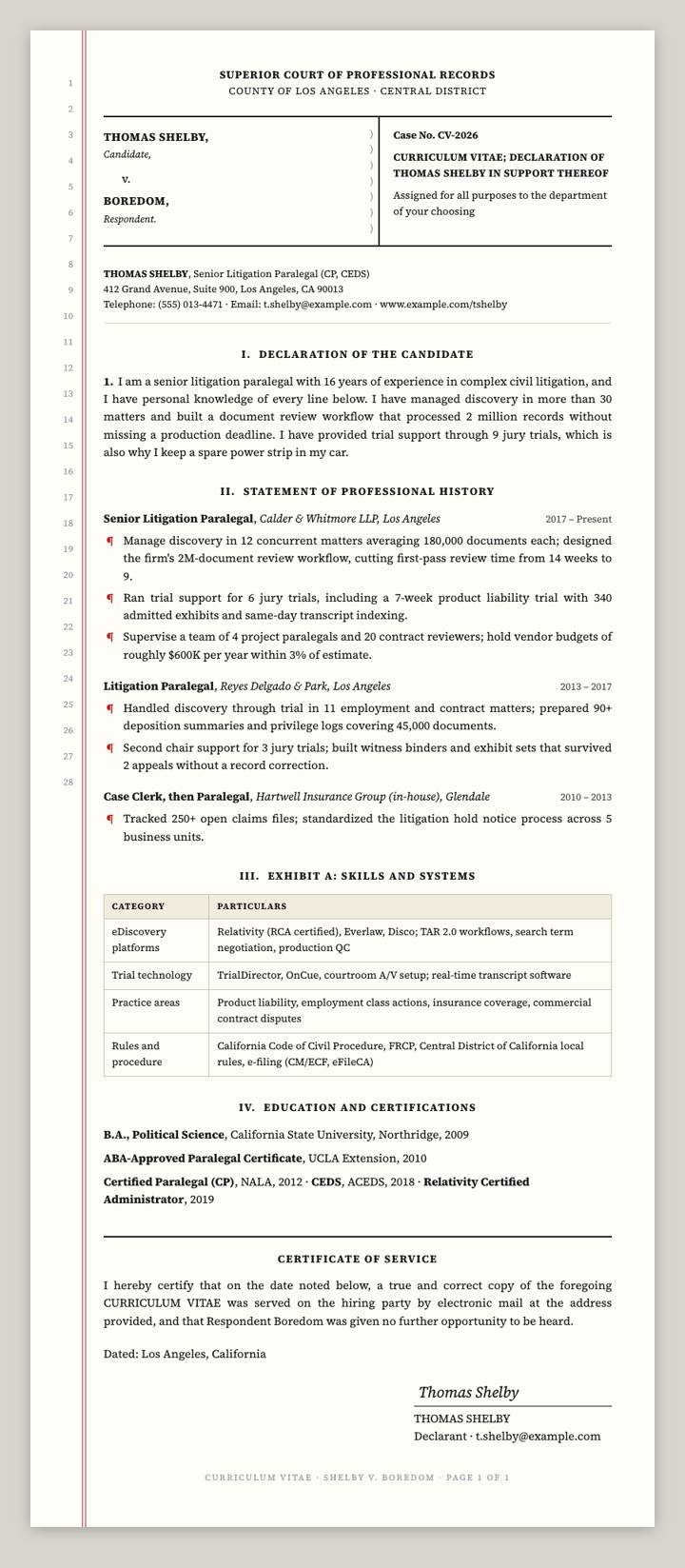 Legal Brief CV template preview