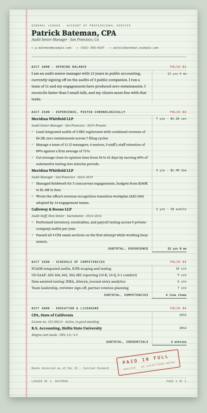 Ledger Book CV template preview