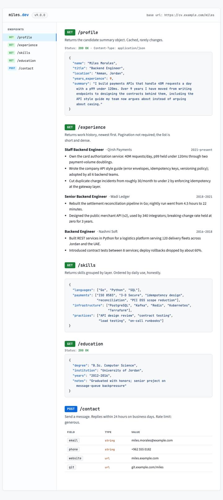 API Docs CV template preview