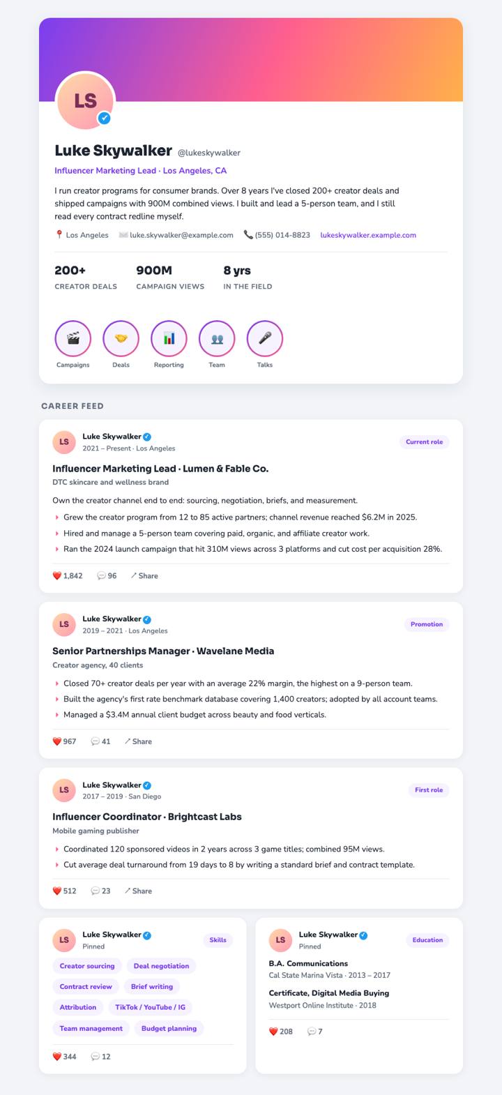 Social Profile CV template preview