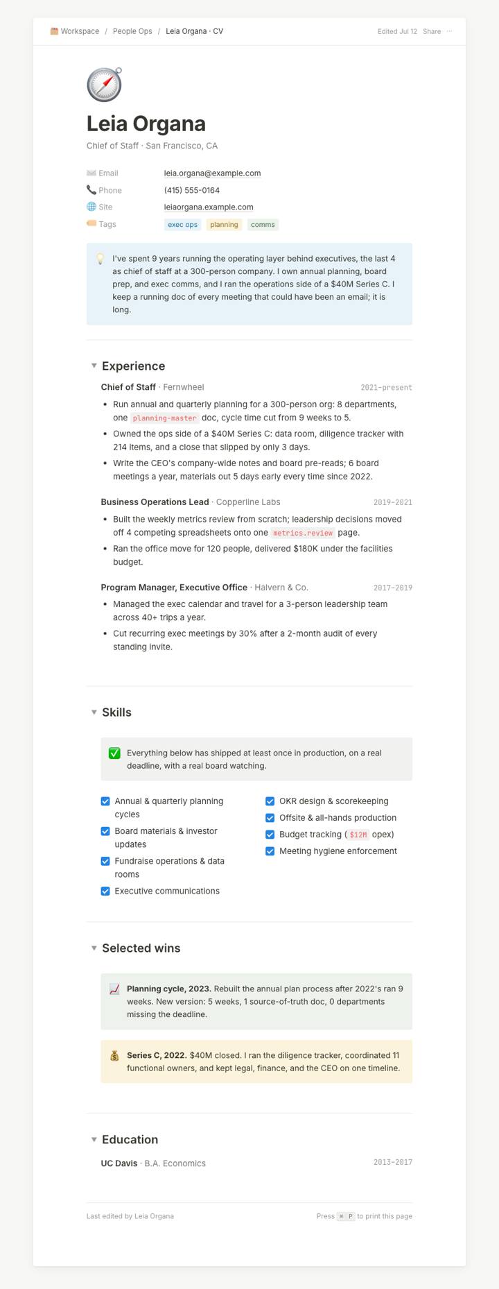 Notion Doc CV template preview