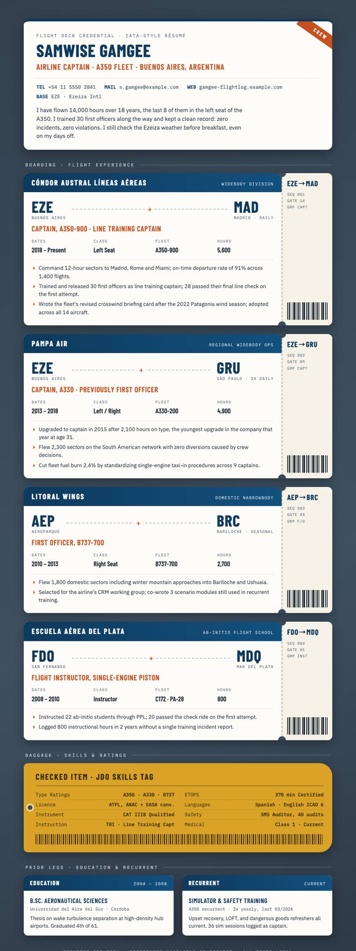 Boarding Pass CV template preview
