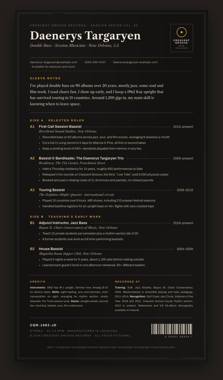 Vinyl Sleeve CV template preview