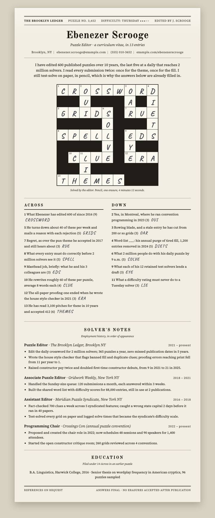 Crossword Puzzle CV template preview