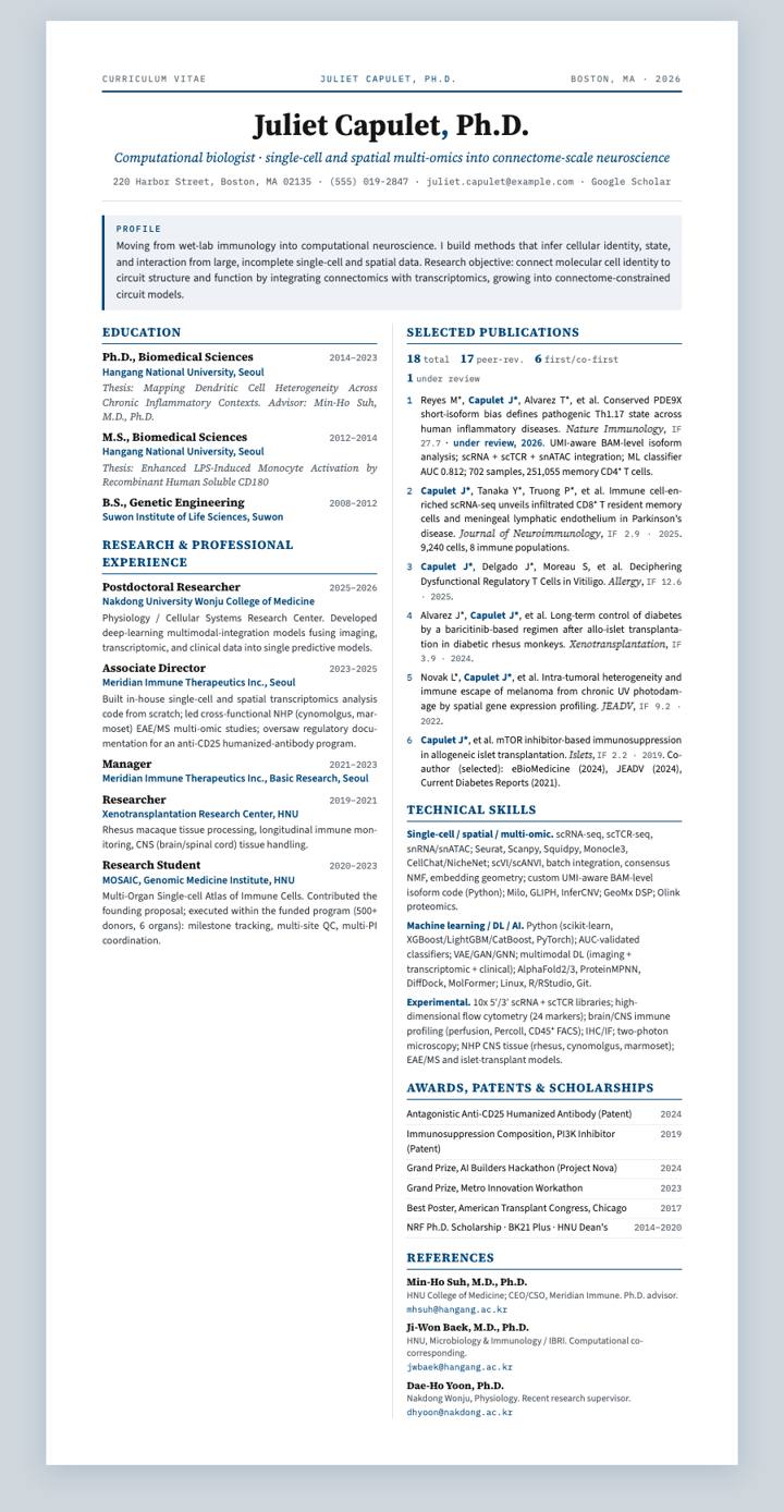 Journal Two-Column CV template preview