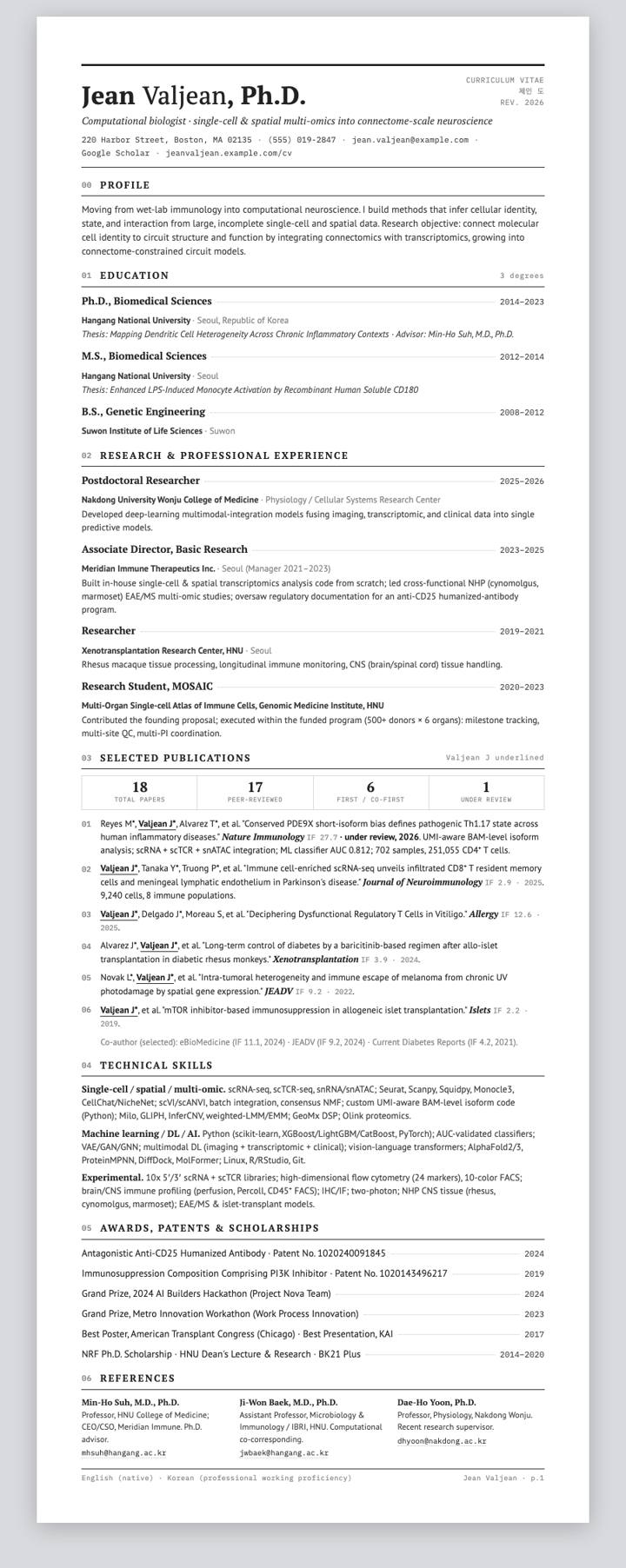 Charcoal Ledger CV template preview