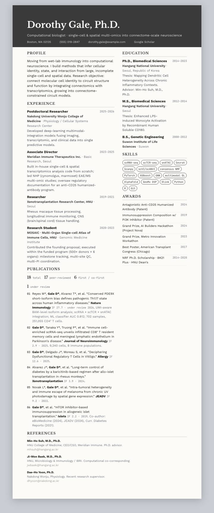 Charcoal Banner CV template preview