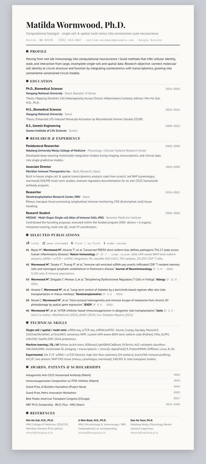 Slate Rule CV template preview