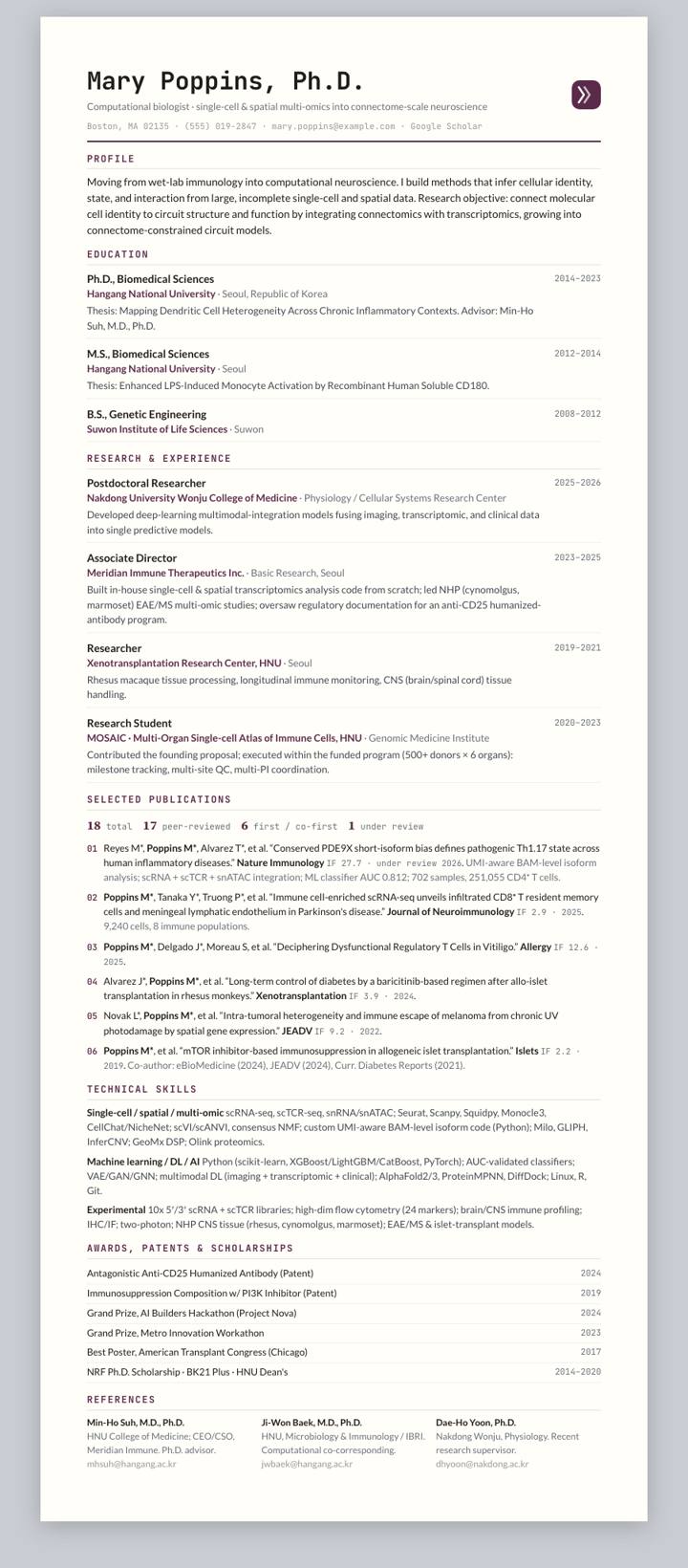Plum Ledger CV template preview