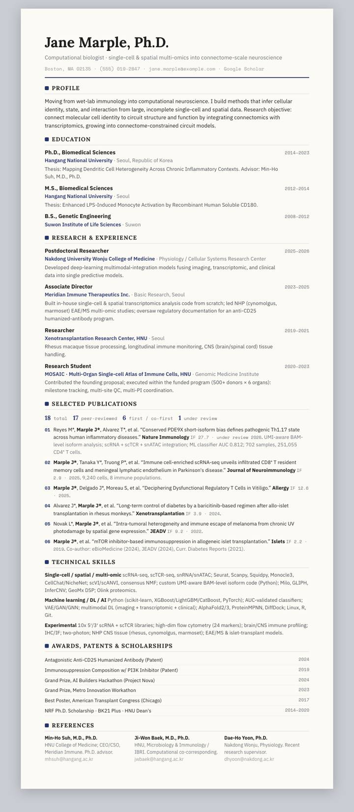 Indigo Rule CV template preview