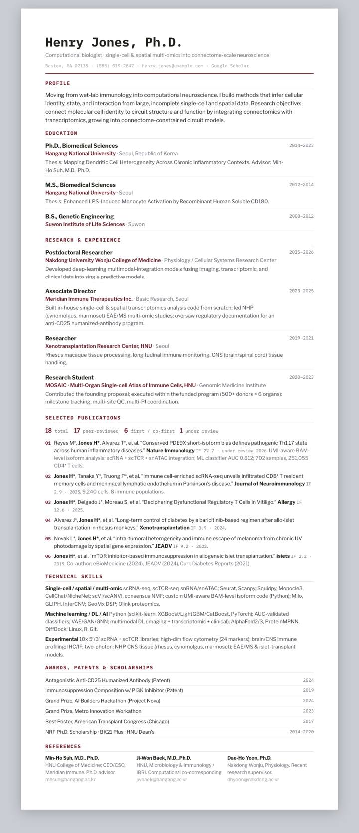 Maroon Ledger CV template preview
