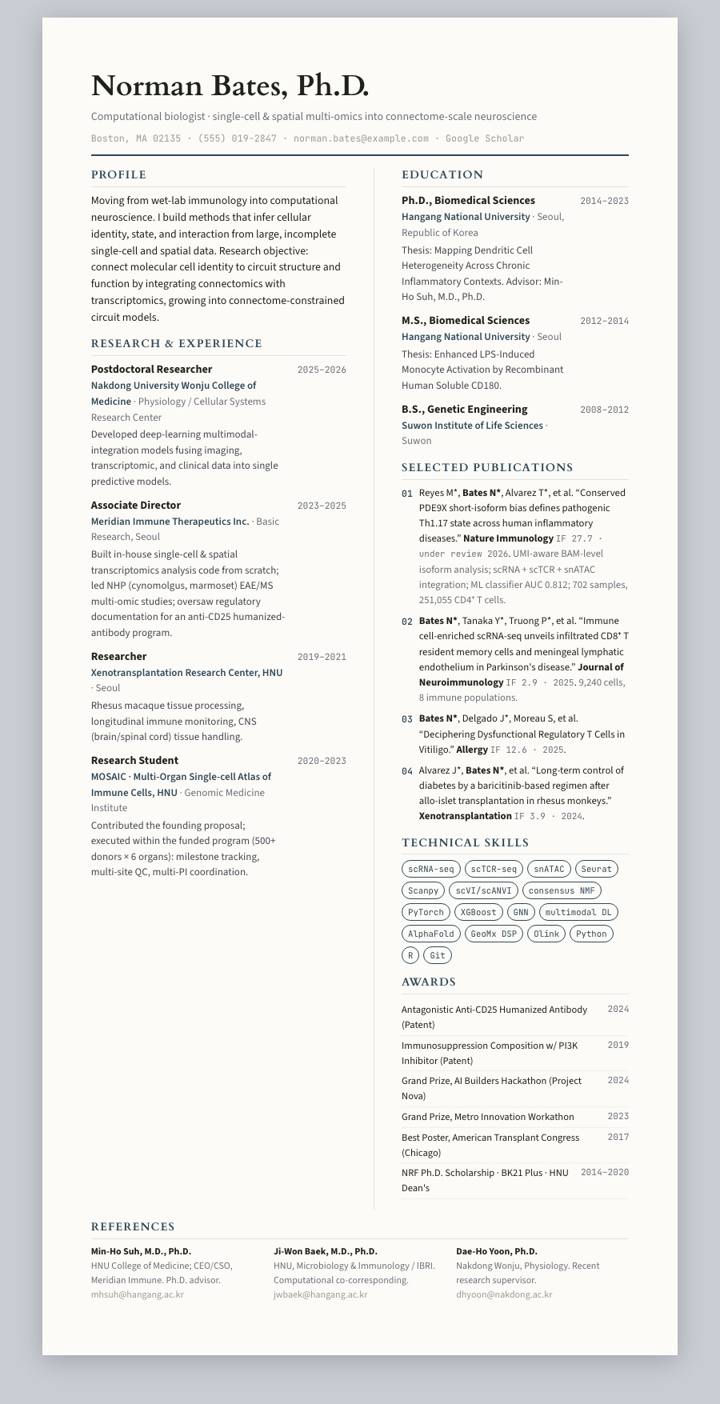 Steel Bicolumn CV template preview