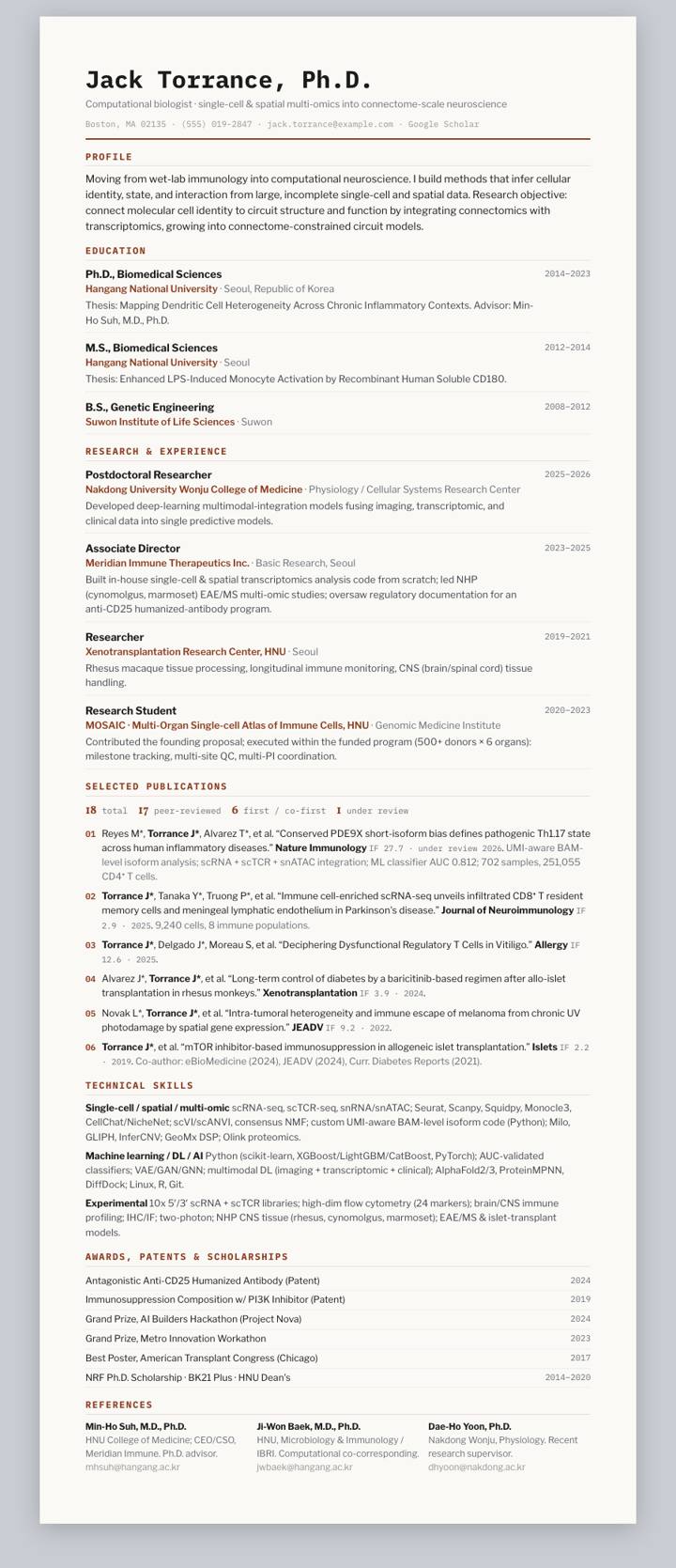 Rust Ledger CV template preview