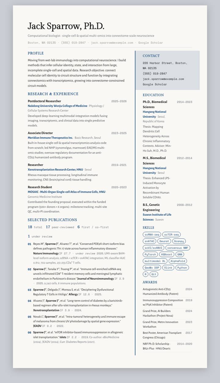 Byzantine Rail CV template preview