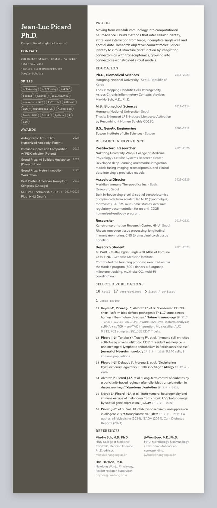 Stone Sidebar CV template preview