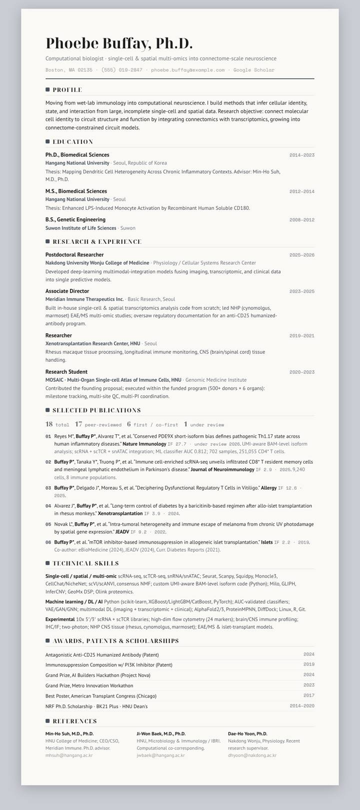 Pewter Rule CV template preview