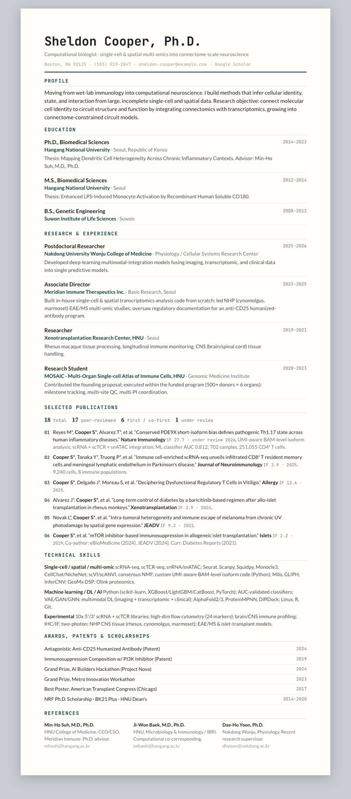 Cambridge Ledger CV template preview