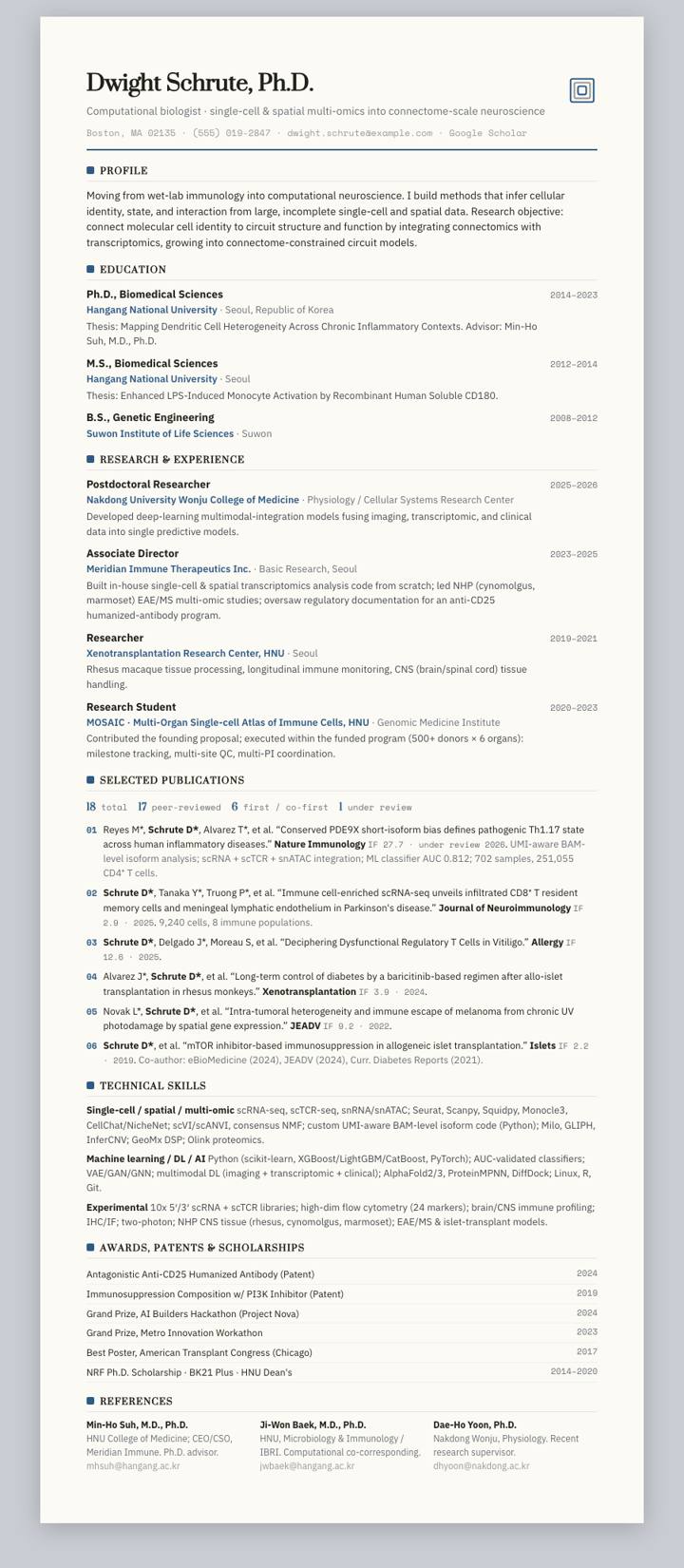 Denim Rule CV template preview