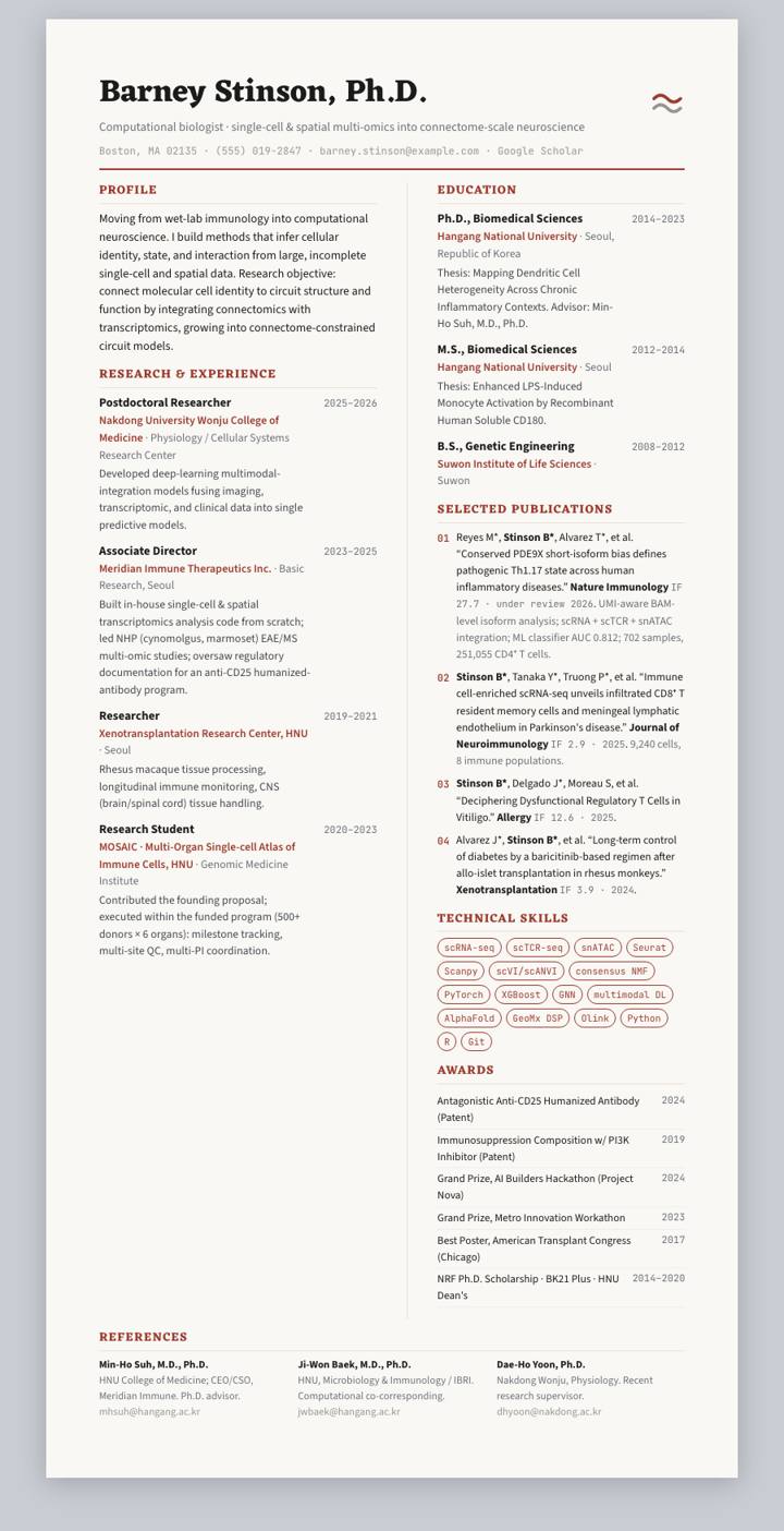 Brick Bicolumn CV template preview