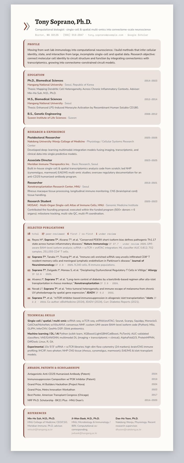 Mahogany Cards CV template preview