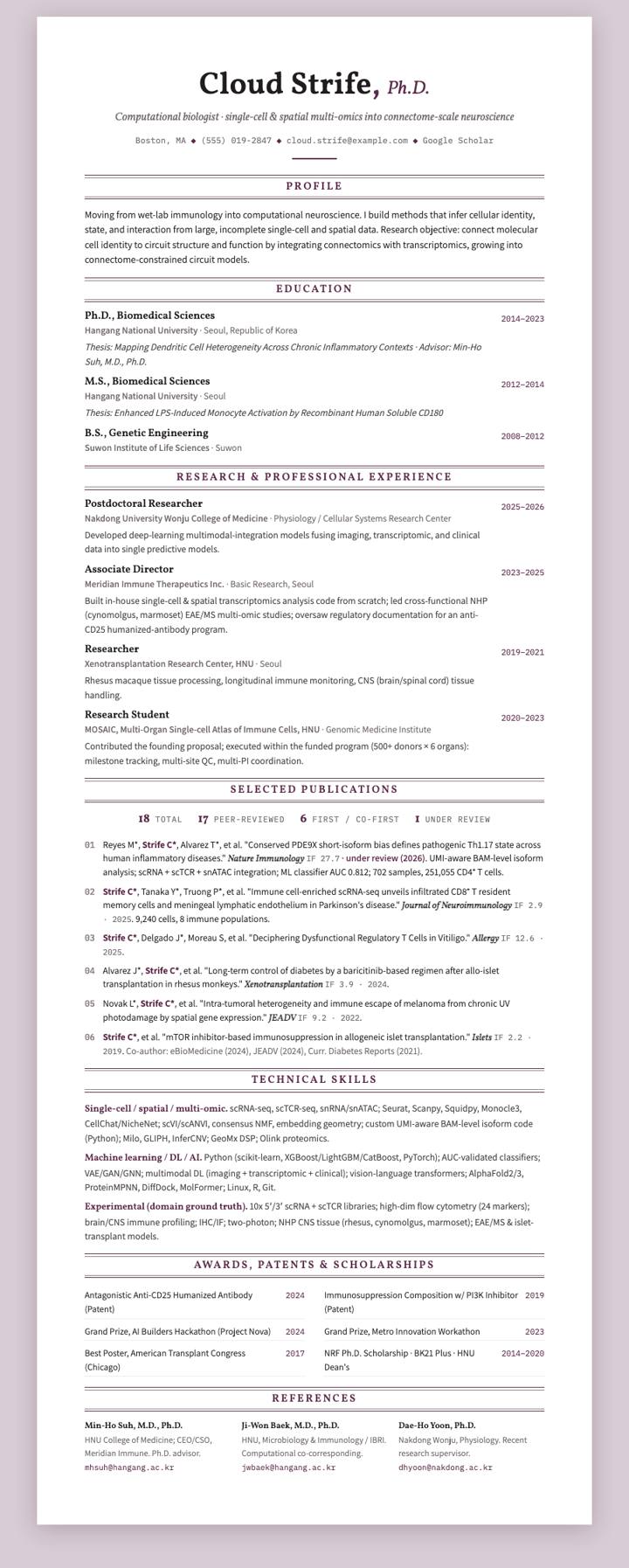 Plum Rule CV template preview