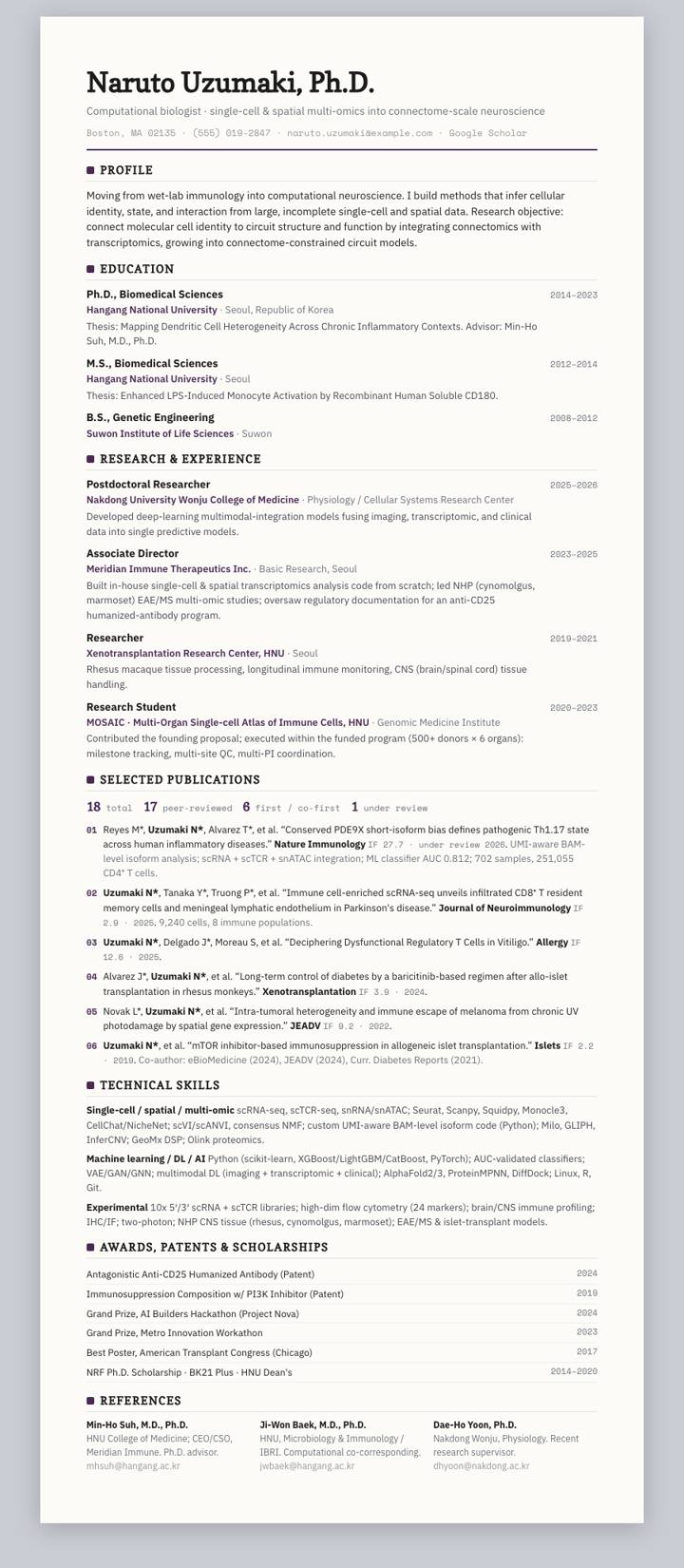 Damson Rule CV template preview