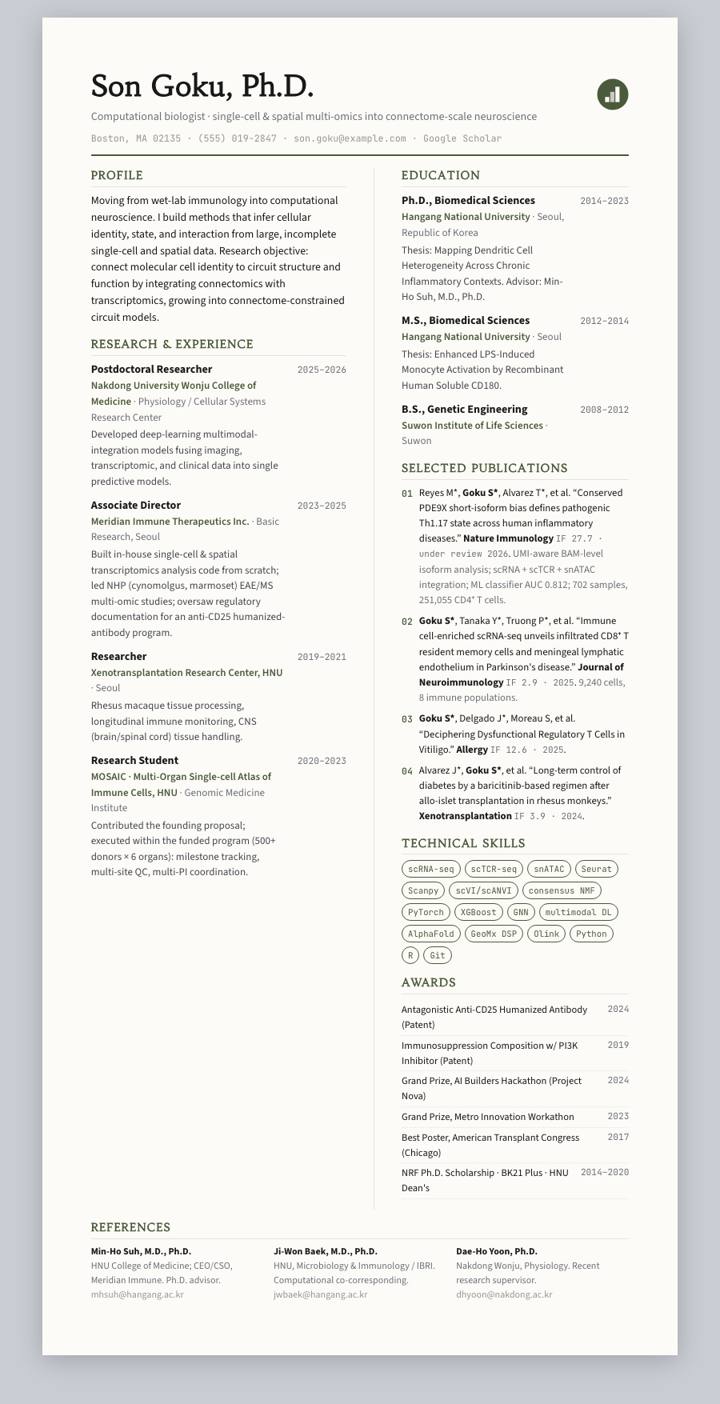 Loden Bicolumn CV template preview