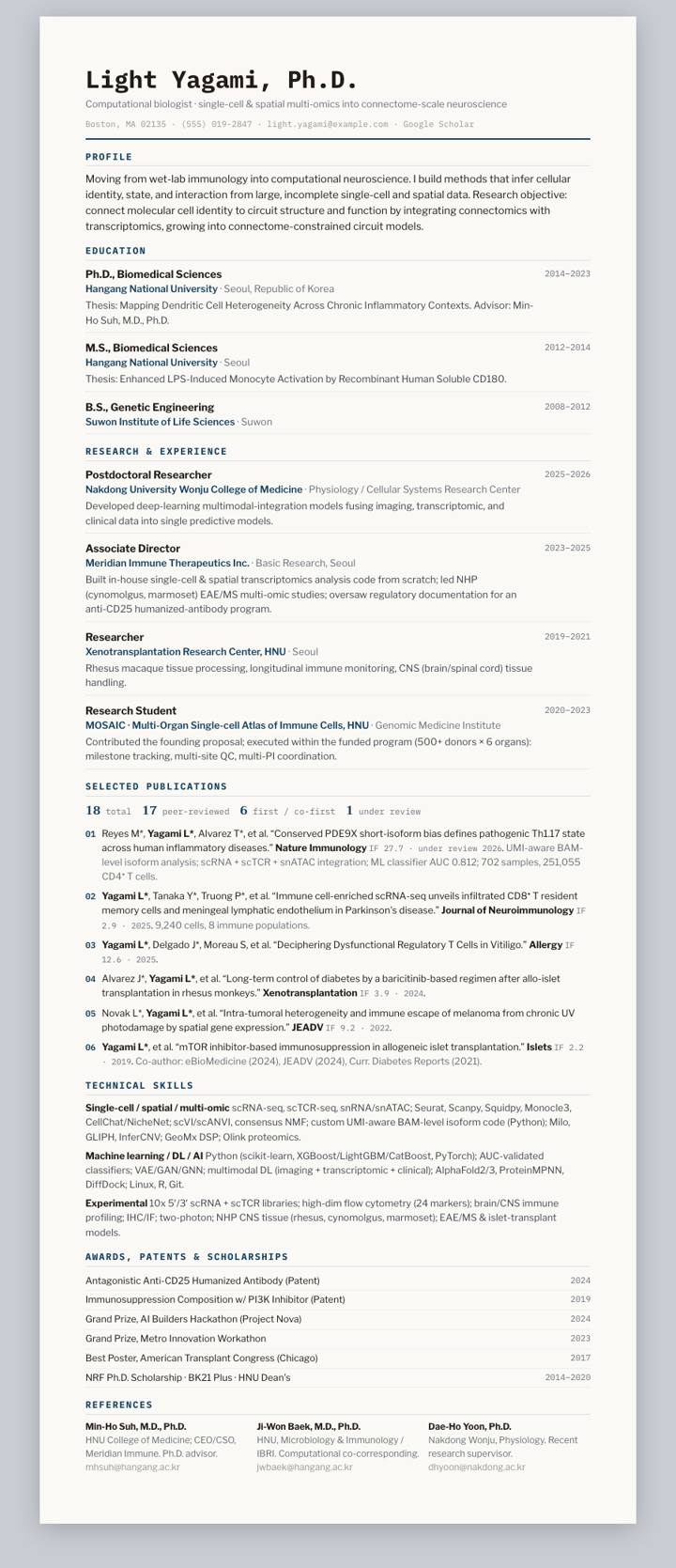 Marine Ledger CV template preview