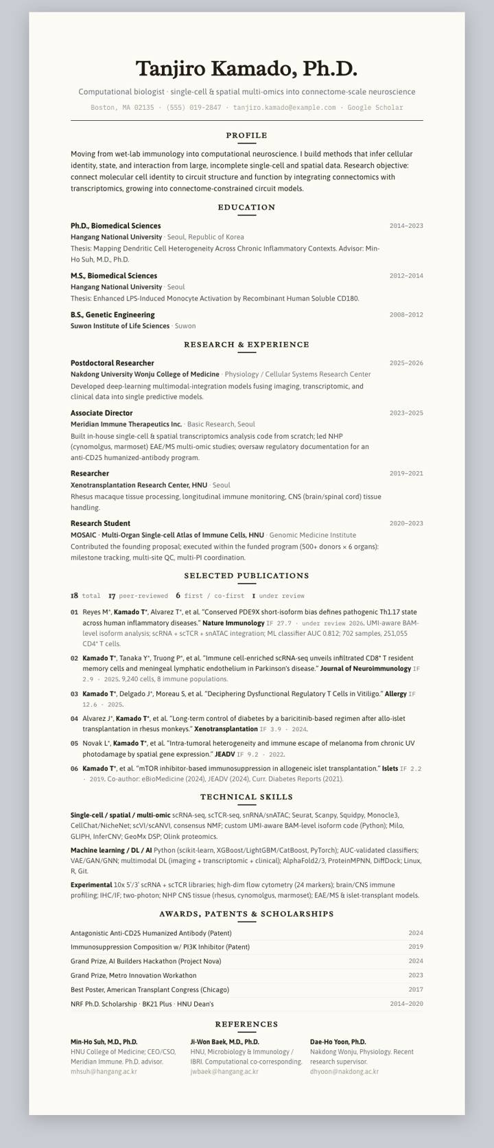 Graphite Centered CV template preview