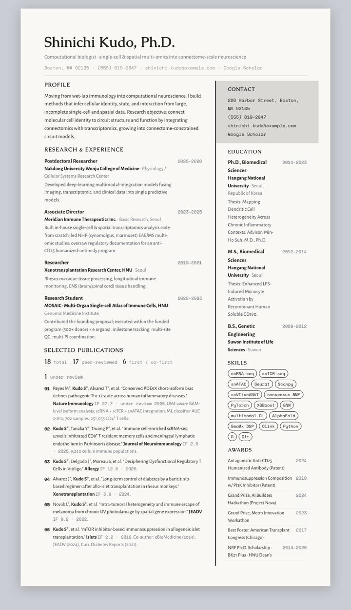 Ink Rail CV template preview