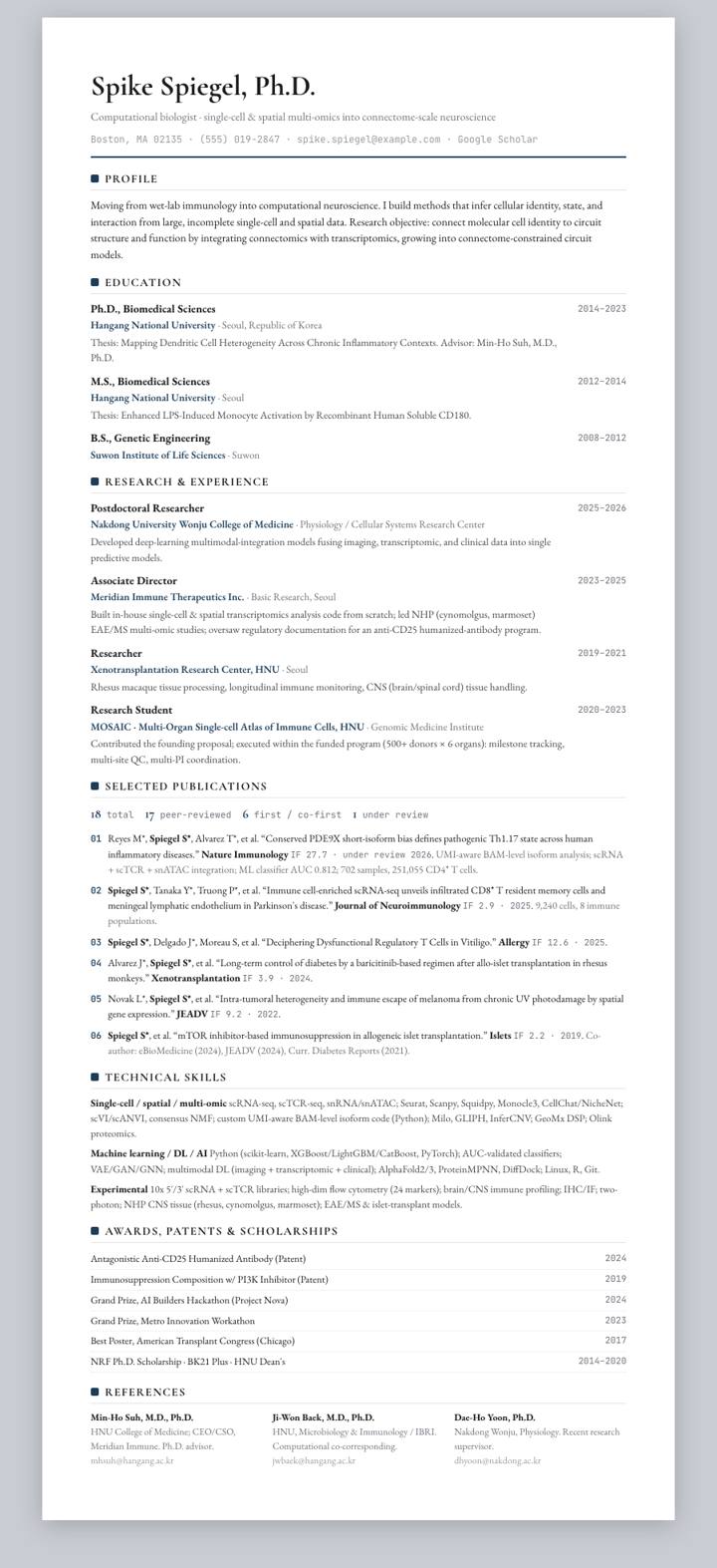 Navy Rule CV template preview