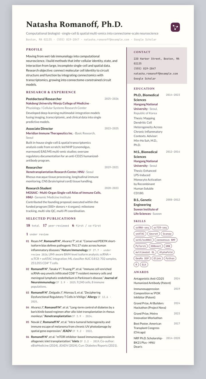 Plum Rail CV template preview