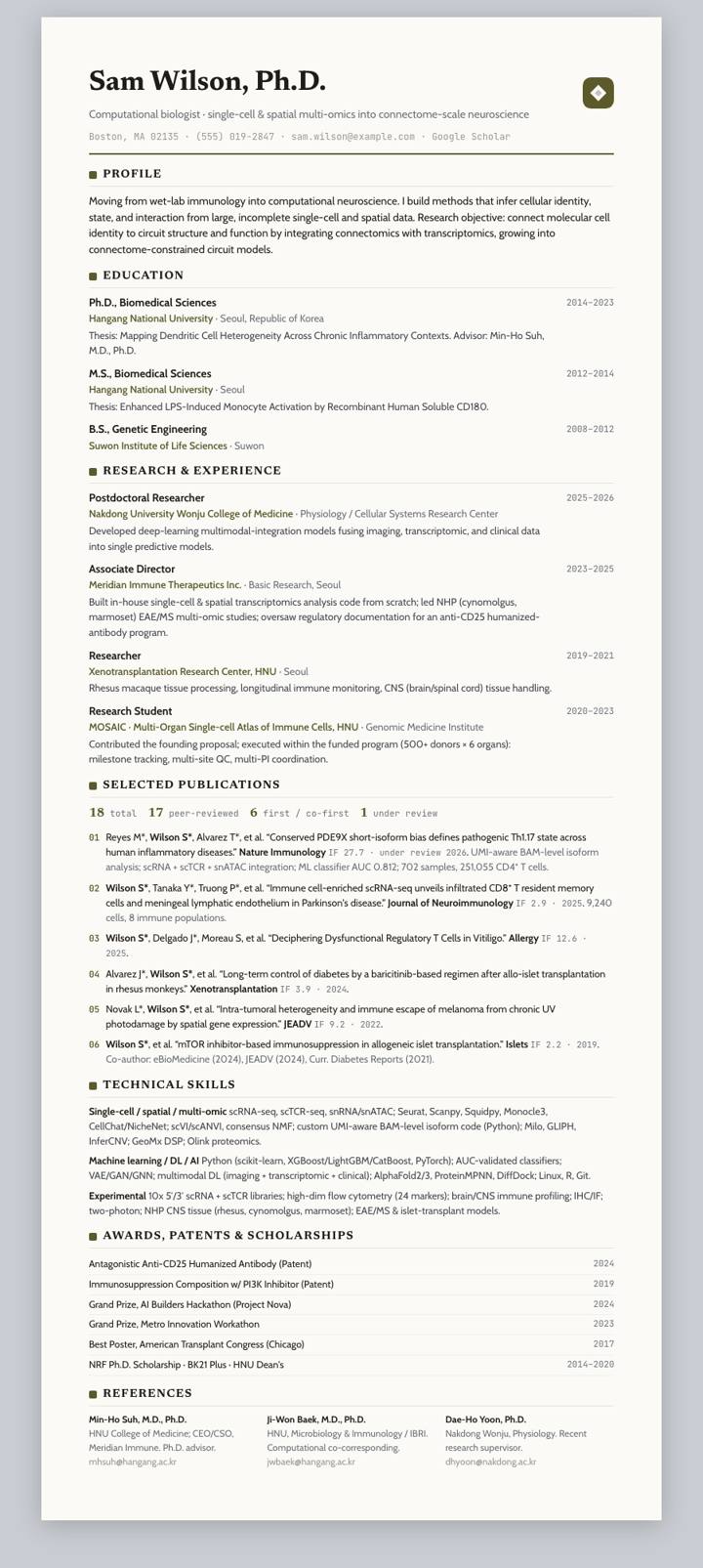 Olive Rule CV template preview