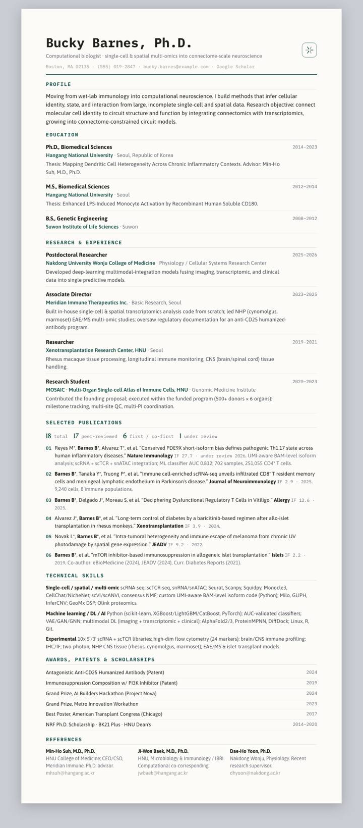 Pine Ledger CV template preview